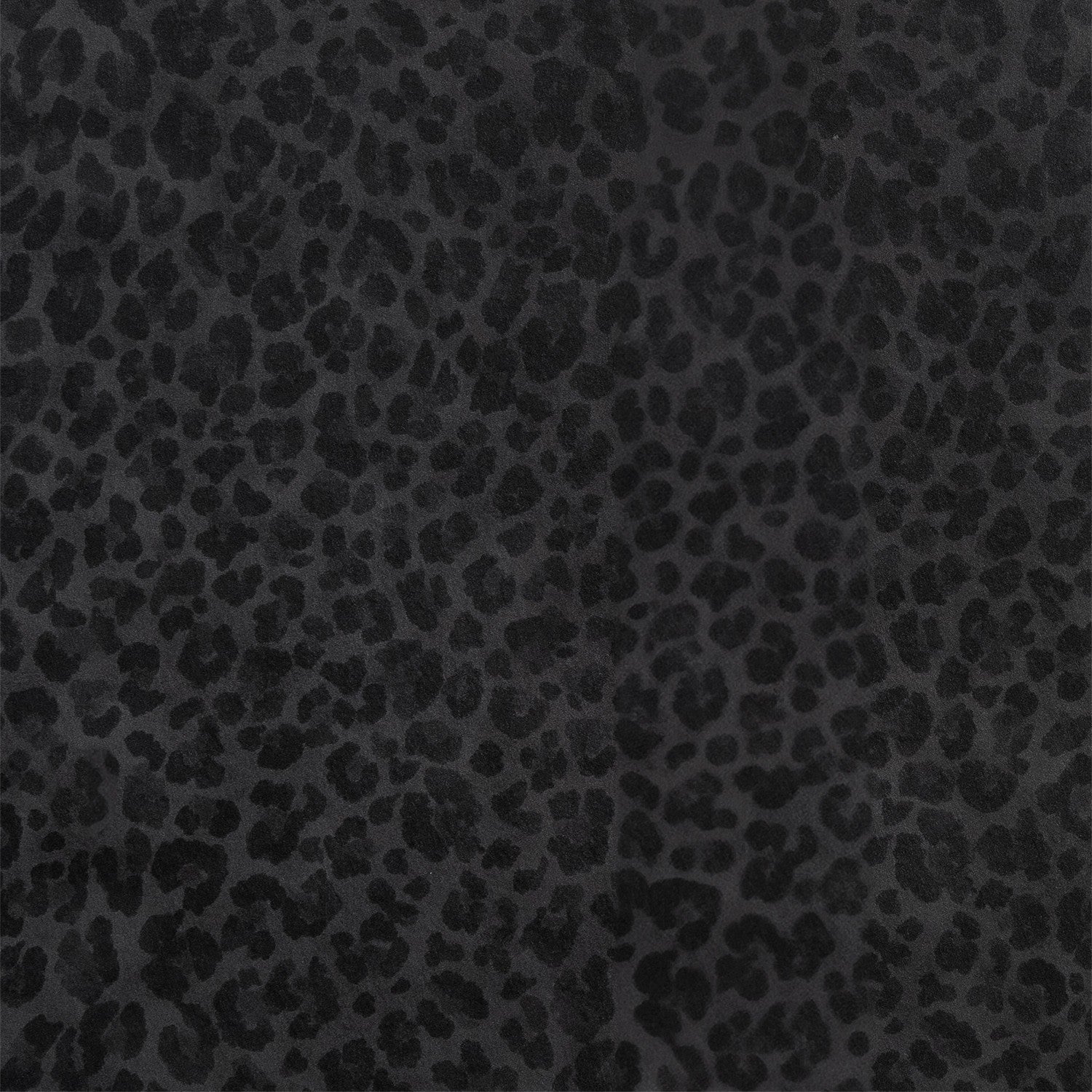 Papier peint Leopard noir et gris