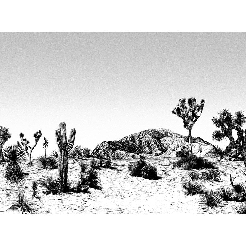 Papier peint panoramique noir et blanc Arizona
