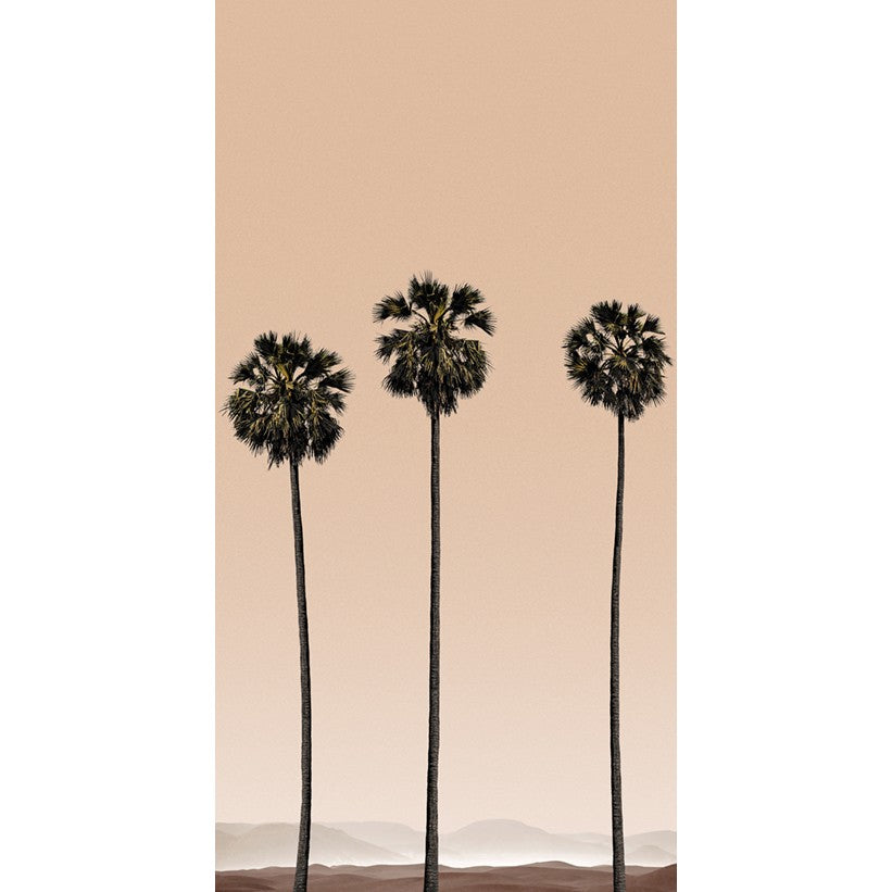 Papier peint panoramique Palmiers